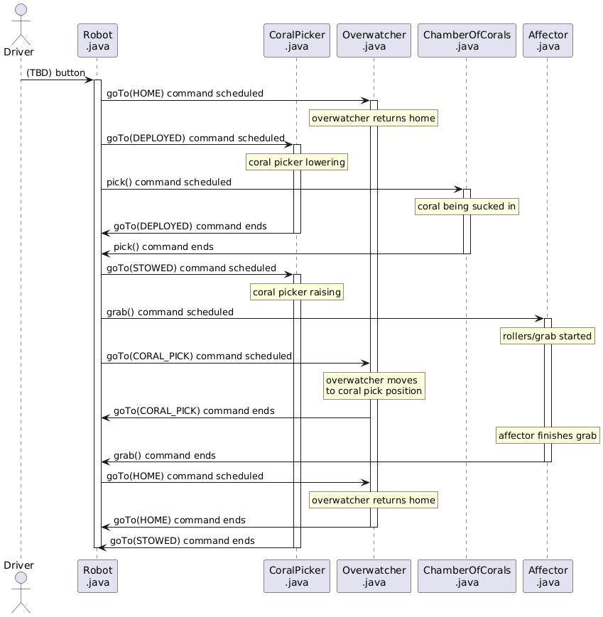 Coral Picked From Ground